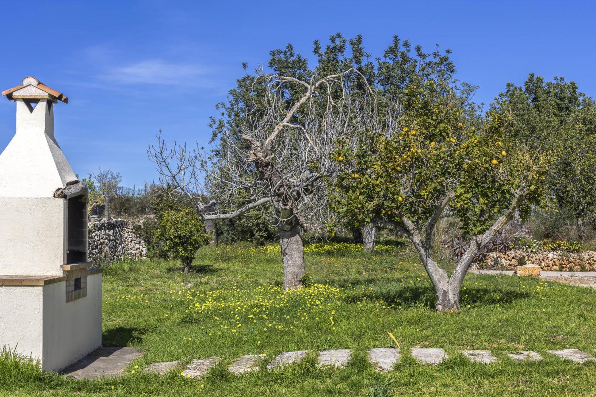 Finca Sa Torreta Santa Margalida Ngoại thất bức ảnh