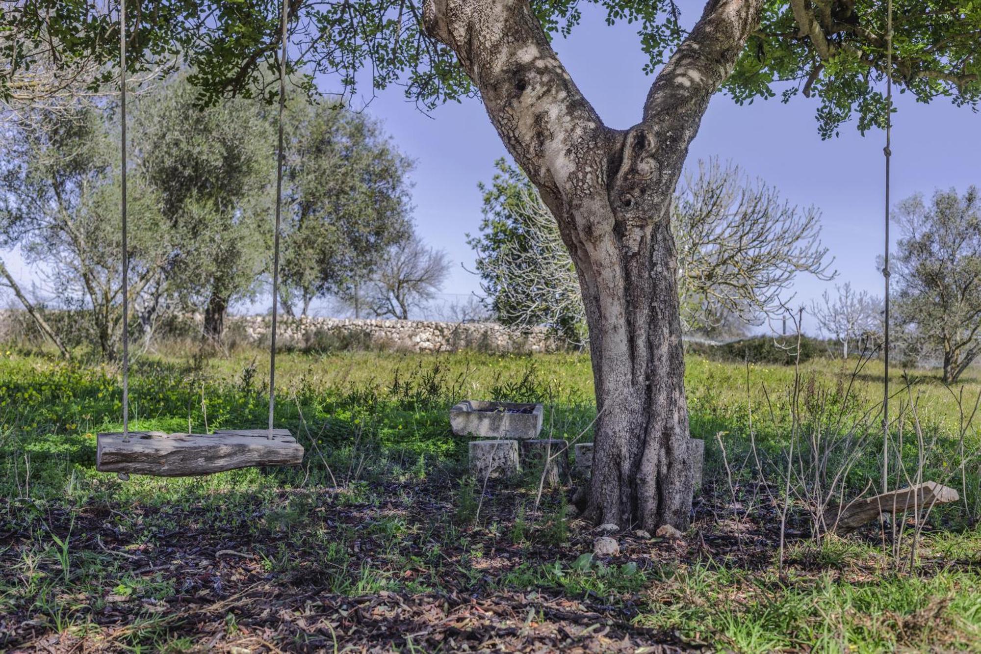 Finca Sa Torreta Santa Margalida Ngoại thất bức ảnh